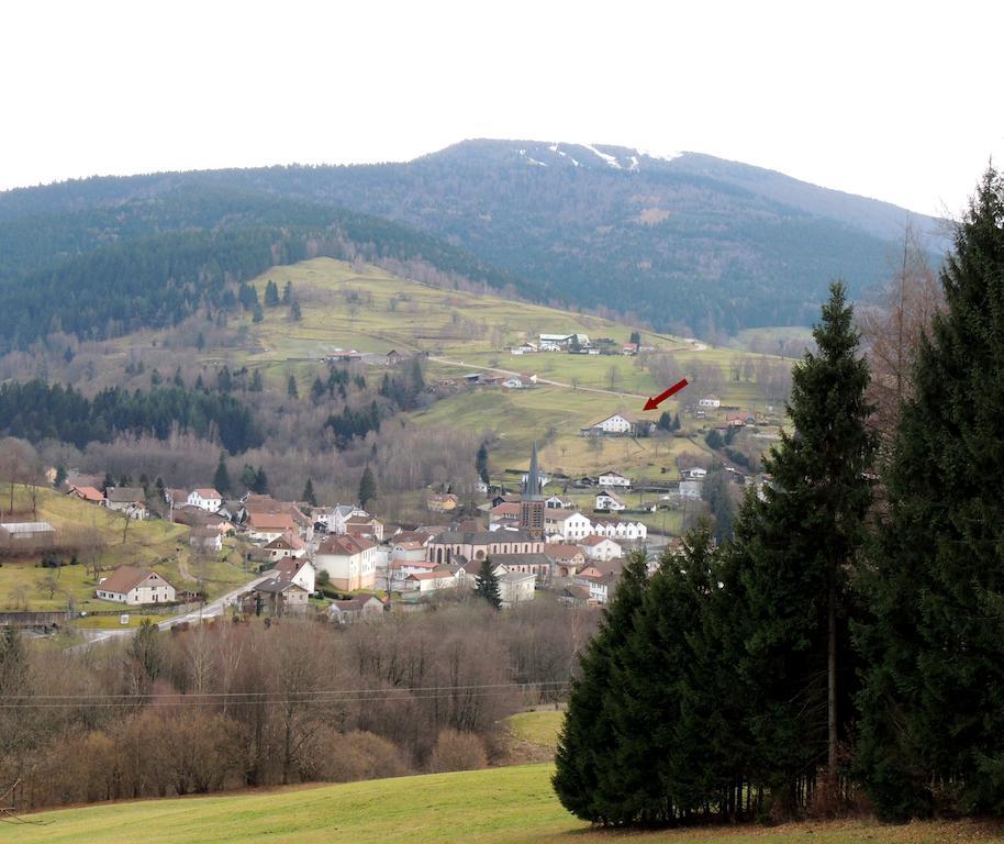 Les Hauts De Brochot Saint-Maurice-sur-Moselle Kamer foto